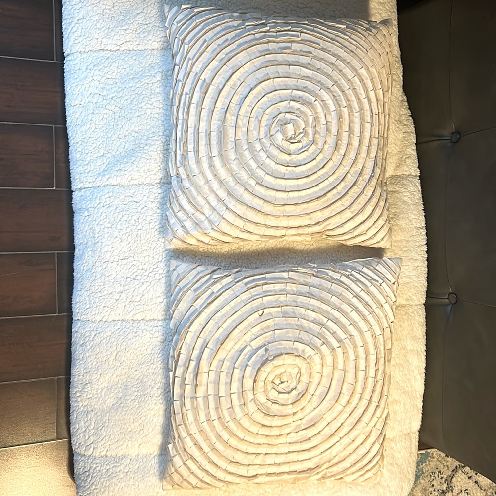 Couch Pillows